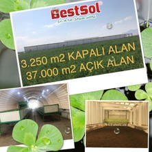 Bestsol Katı Solucan Gübresi 1 kg