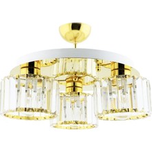 Modi Lighting Venus 3’lü Gold Plafonyer Avize