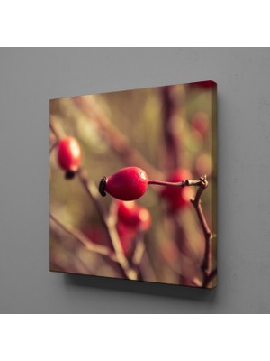 Technopa Kuş Burnu 25 x 25 cm