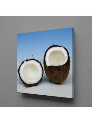 Technopa Hindistan Cevizi 150 x 150 cm