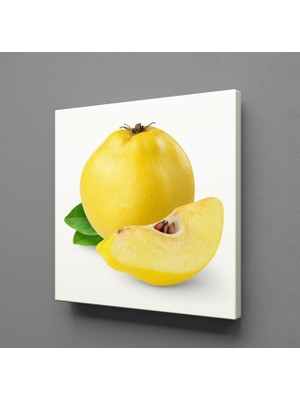 Technopa Ayva 30 x 30 cm