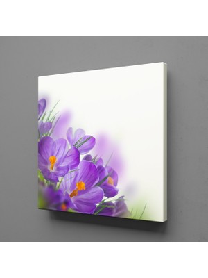 Technopa Mor Çiçek 25 x 25 cm