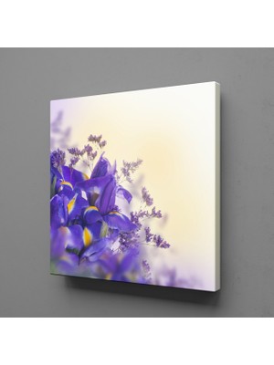 Technopa Mor Menekşeler 40 x 40 cm