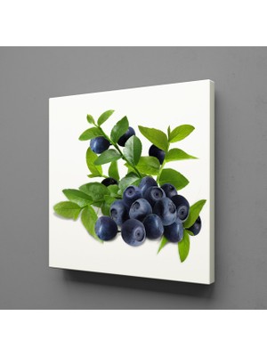 Technopa Yaban Mersini 2 40 x 40 cm