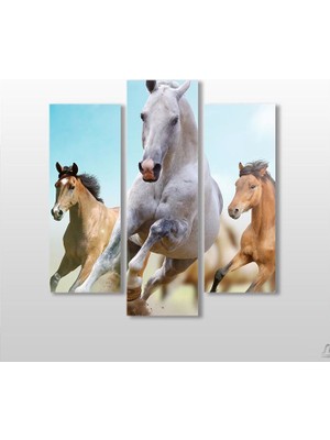 Technopa Koşan Atlar Kanvas Tablo 120 x 130 cm