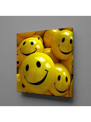 Technopa Gülen Toplar 30 x 30 cm