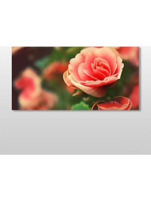 Technopa Gül Turuncu Kanvas Tablo 100 x 50 cm