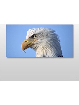 Technopa Şahin Kanvas Tablo 160 x 80 cm