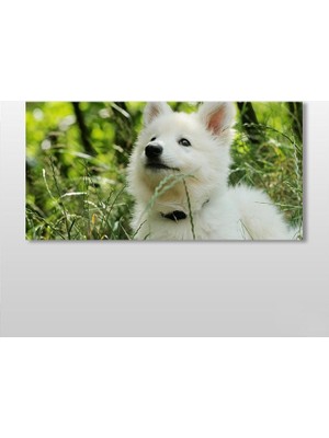 Technopa Köpek Beyaz Kanvas Tablo 100 x 50 cm