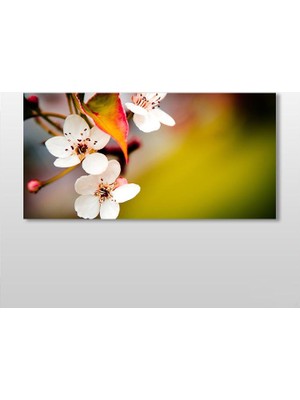 Technopa Bahar ve Çiçekler Kanvas Tablo 80 x 40 cm