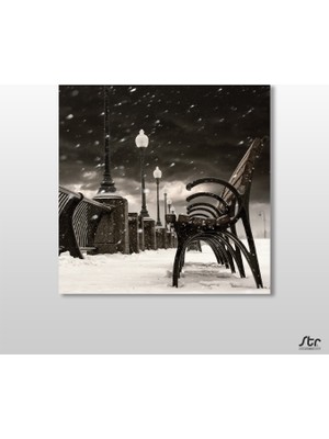 Technopa Bank Siyah Beyaz  Kanvas Tablo 30 x 30 cm