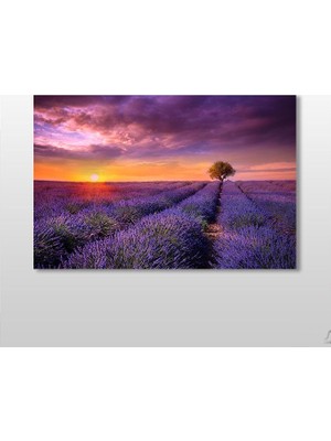 Technopa Mor Çiçekli Tarla Kanvas Tablo 45 x 30 cm