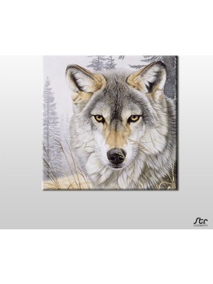 Technopa Kurt Bakışı Kanvas Tablo 140 x 140 cm