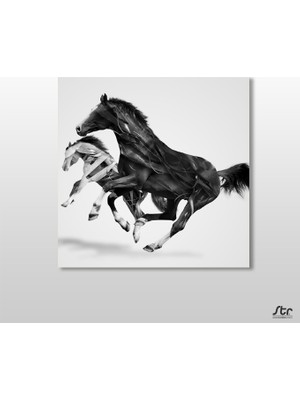 Technopa At Çift Kanvas Tablo 170 x 170 cm