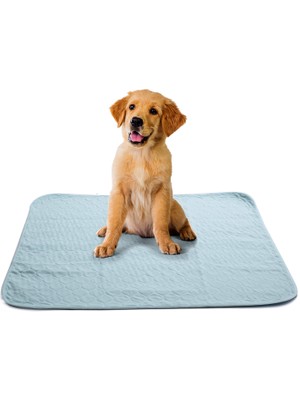 Abso 4 Katlı Yıkanabilir Emici Koku Yapmaz Köpek Çiş Pedi 75 x 85 cm
