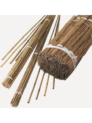 Mutlu Fidancım Bambu Bitki Fidan Destek Çubuğu 10 Adet  150 cm
