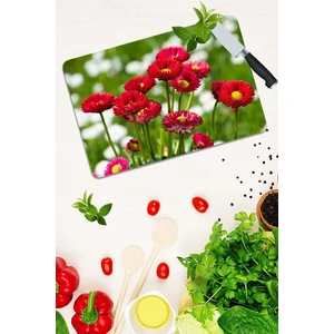 Model 191 Cam Kesme Tahtası 30 cm x 40 cm