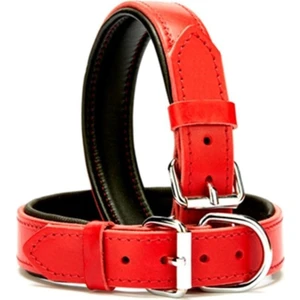 Deri Köpek Tasması 2,5X56 cm Kırmızı