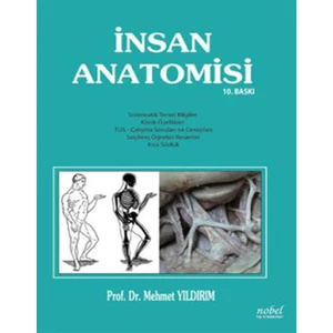 Insan Anatomisi - Mehmet Yıldırım