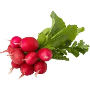 Bey Baharat + 20 Adet Fındık Turp Tohumu + Sürpriz Tohum