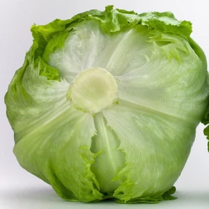 Bey Baharat + 20 Adet Iceberg Marul Aysberk Tohumu + Sürpriz Tohum