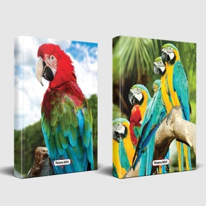 Halk Kitabevi Sevimli Hayvanlar Gökkuşağı Defter  + Papağan Ailesi 2'li