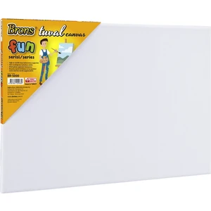 BR-5000 Fun Serisi Tuval 25 x 35 cm