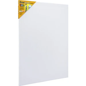 BR-5002 Fun Serisi Tuval 50 x 70 cm