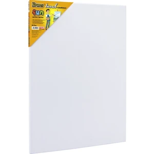 BR-5001 Fun Serisiı Tuval 35 x 50 cm