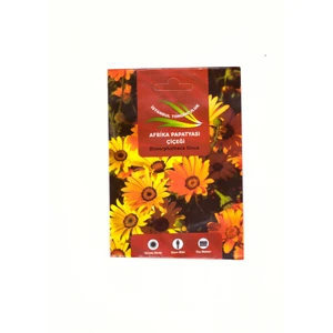 Istanbul Tohumculuk Afrika Papatyası Çiçeği