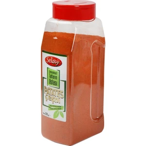 Kızarmış Patates Çeşnisi 500 gr