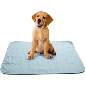 4 Katlı Yıkanabilir Emici Koku Yapmaz Köpek Çiş Pedi 75 x 85 cm