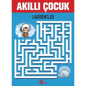 Akıllı Çocuk Labirentler