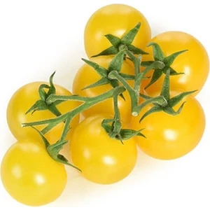 Murat Tohumculuk Sarı Cherry Domates Tohumu 10'lu