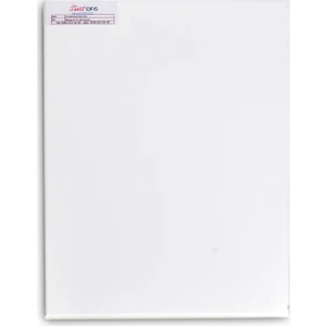 40 x 60 cm Profesyonel Tuval