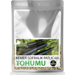 Tarım Sofralık Patlıcan Tohumu 30'lu