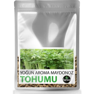 Yoğun Aroma Maydonoz Tohumu Yüksek Verim 30'lu