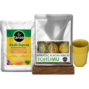 Alacalı Kavun Tohumu 30'lu Toprak ve Saksı Seti