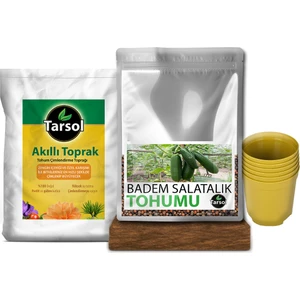 Badem Salatalık Tohumu 30'lu Toprak ve Saksı Seti