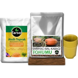 Balkabağı Tohumu 30'lu Toprak ve Saksı Seti