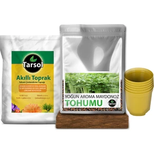 Maydanoz Tohumu 30'lu Toprak ve Saksı Seti
