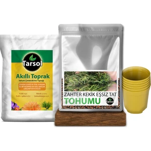 Zahter Kekik Tohumu 30'lu Toprak ve Saksı Seti