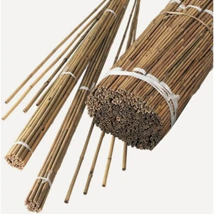 Mutlu Fidancım Bambu Bitki Fidan Destek Çubuğu 10 Adet  150 cm