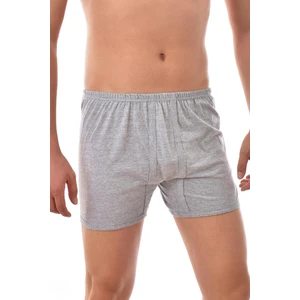 3 Adet Seher 0006  Erkek Arjantin Boxer Gri