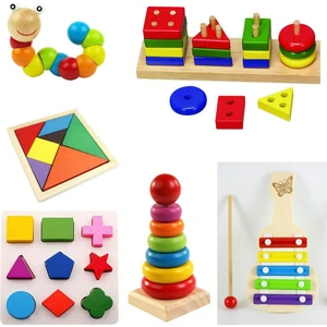 Wooden Toys Ahşap Zeka Eğitici Tangram+Geometrik Şekiller+Bultak+Tırtıl+Kule 6'lı Set