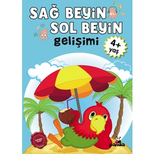 4 Yaş Sağ Beyin-Sol Beyin Gelişimi
