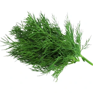 Biogen Tohumculuk Biogen Dereotu Tohumu 25GR 1 Paket