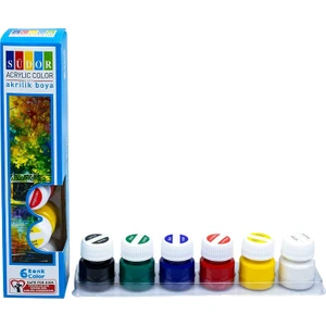 Akrilik Boya Şişe Su Bazlı 15 ml 6 Renk SD121
