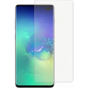 Nettech Samsung Galaxy S10 Uyumlu Ön Koruma 360 Full Kaplama
