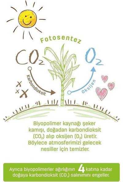 Sleepy Bio Natural Bebek Bezi 5 Numara Junior 80'li